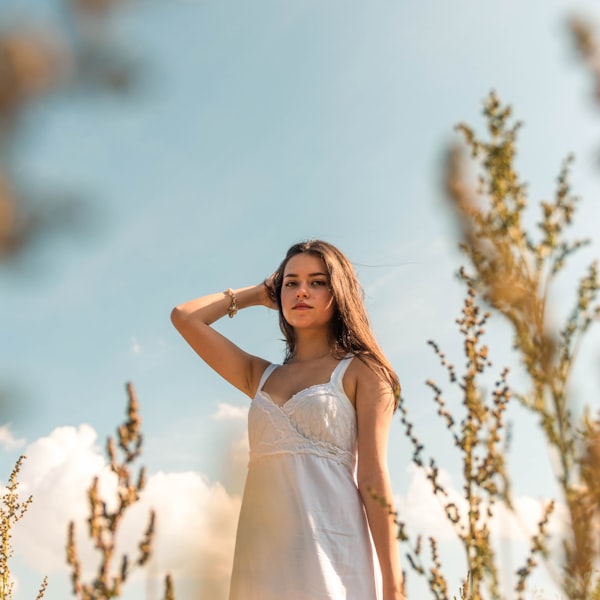 Ivory Tulip Canvas